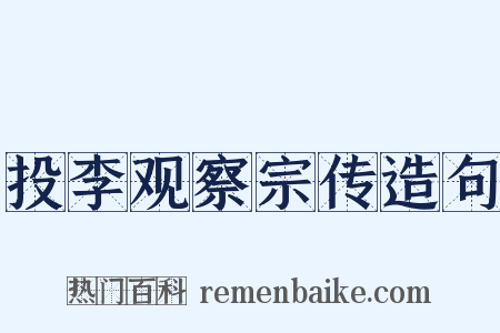 投李观察宗传造句是什么意思的图片